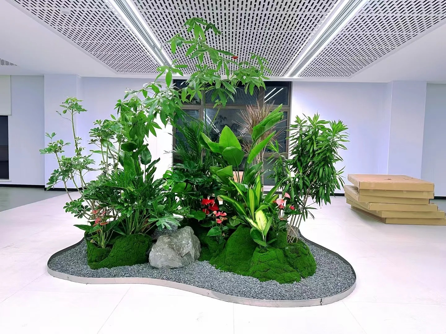 了解余姚绿植出租方案，畅享绿色生活新方式